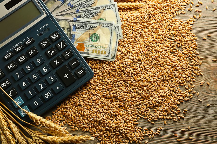 A calculator, grains, and money